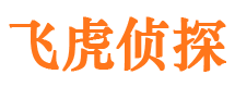 松江市婚姻调查